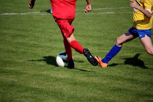 9体育-中国足球年度训练项目与技战术实战匹配，中国足球队战术