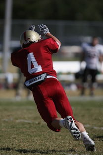 九游体育官网-五大联赛的魅力：不同国家球队的差异化风格，5大联赛球队综合实力排名